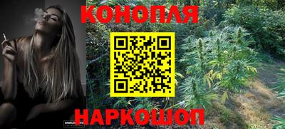 гидропоника Севастополь