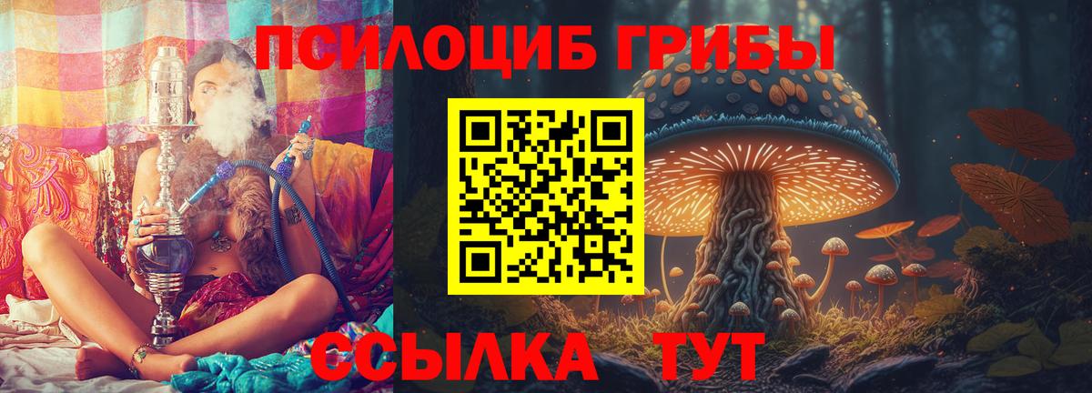 Псилоцибиновые грибы Psilocybine cubensis Сертолово