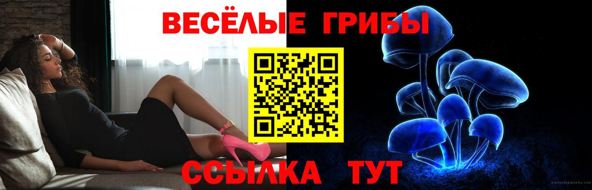 Галлюциногенные грибы GOLDEN TEACHER  Вход с VPN  Сертолово 